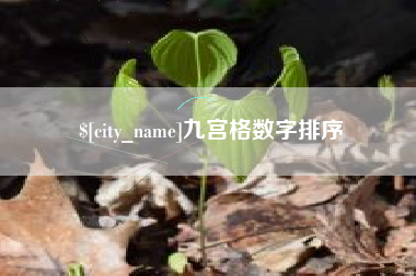 怒江九宫格数字排序