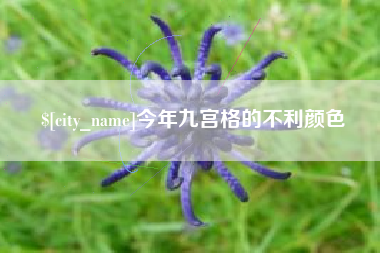怒江今年九宫格的不利颜色