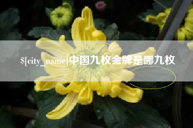 怒江中国九枚金牌是哪九枚