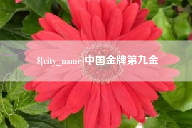 怒江中国金牌第九金