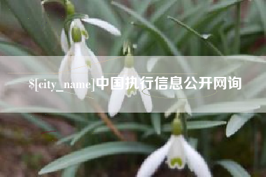 怒江中国执行信息公开网询
