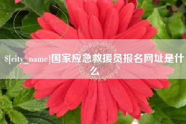 怒江国家应急救援员报名网址是什么