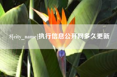 怒江执行信息公开网多久更新