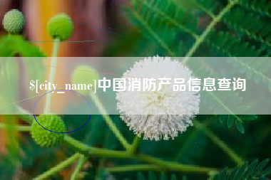 怒江中国消防产品信息查询