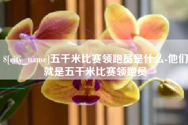 怒江五千米比赛领跑员是什么-他们就是五千米比赛领跑员