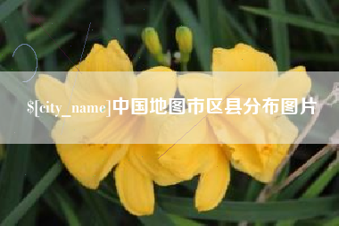 怒江中国地图市区县分布图片