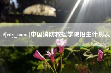 怒江中国消防救援学院招生计划表