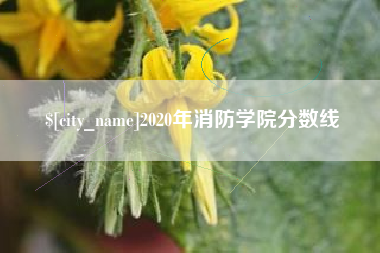 怒江2020年消防学院分数线