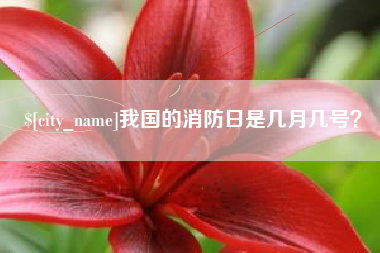 怒江我国的消防日是几月几号？