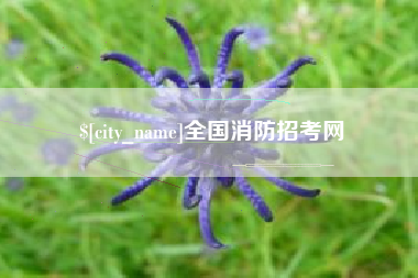 怒江全国消防招考网