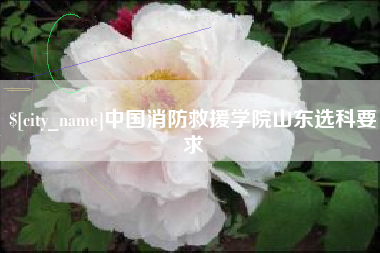怒江中国消防救援学院山东选科要求