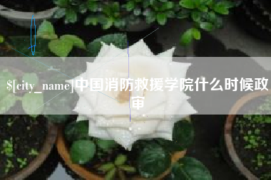 怒江中国消防救援学院什么时候政审