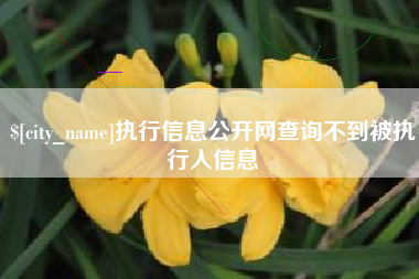 怒江执行信息公开网查询不到被执行人信息