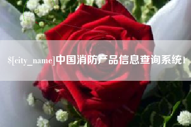 怒江中国消防产品信息查询系统1