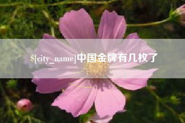怒江中国金牌有几枚了