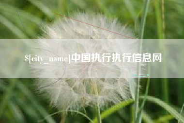 怒江中国执行执行信息网