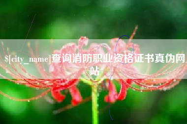 怒江查询消防职业资格证书真伪网站
