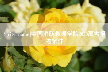 怒江中国消防救援学院2020高考报考条件