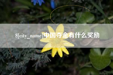 怒江中国夺金有什么奖励