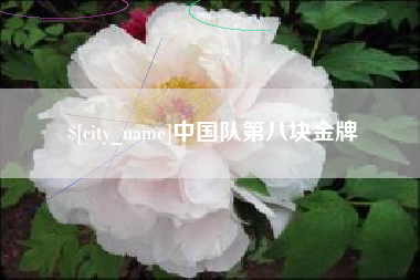 怒江中国队第八块金牌