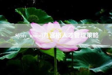 怒江九宫格人才管理策略