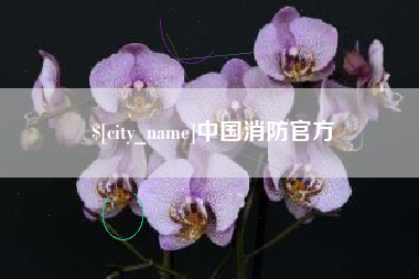 怒江中国消防官方