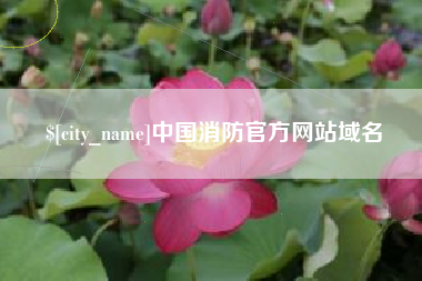 怒江中国消防官方网站域名