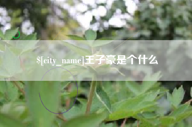 怒江王子豪是个什么