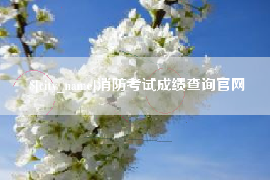 怒江消防考试成绩查询官网