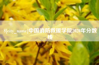 怒江中国消防救援学院2020年分数线