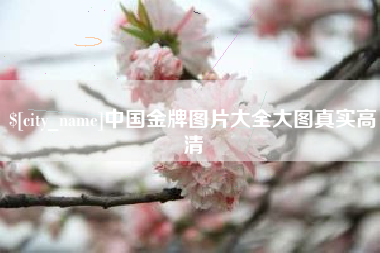 怒江中国金牌图片大全大图真实高清