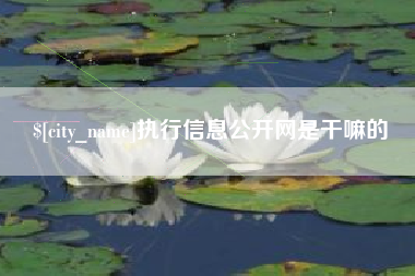 怒江执行信息公开网是干嘛的