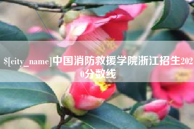 怒江中国消防救援学院浙江招生2020分数线