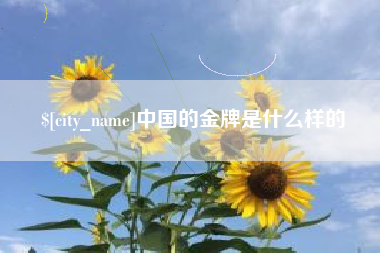 怒江中国的金牌是什么样的