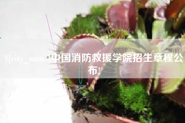 怒江中国消防救援学院招生章程公布!