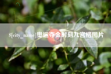 怒江奥运夺金时刻九宫格图片