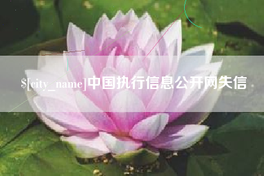怒江中国执行信息公开网失信