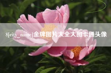 怒江金牌图片大全大图卡通头像