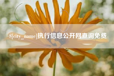 怒江执行信息公开网查询免费