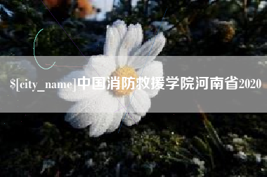 怒江中国消防救援学院河南省2020